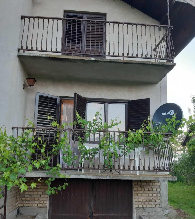 Backi Raj Villa Gornja Rogatica Exterior foto
