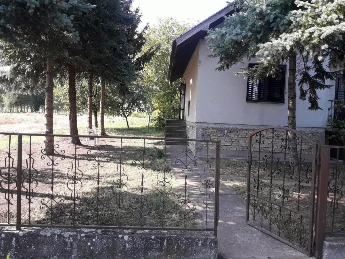 Backi Raj Villa Gornja Rogatica Exterior foto
