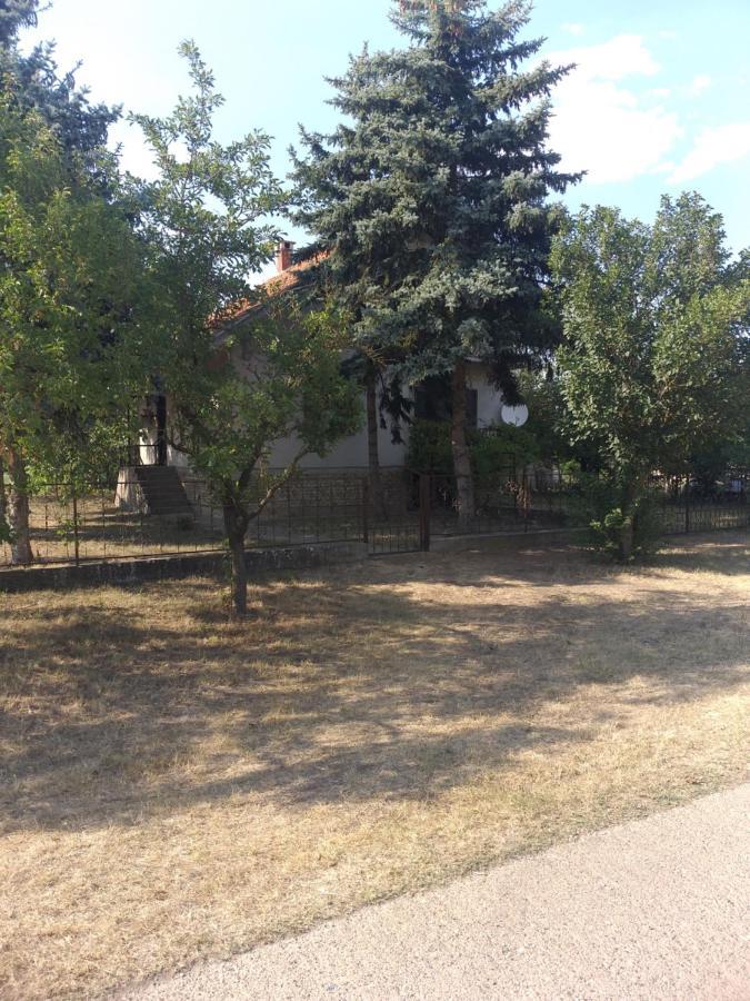 Backi Raj Villa Gornja Rogatica Exterior foto